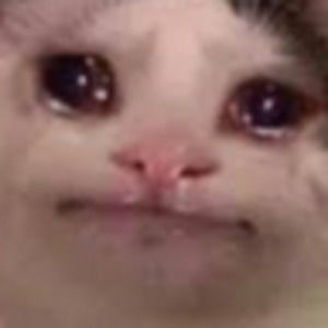 Meet your Posher, Cat tuong